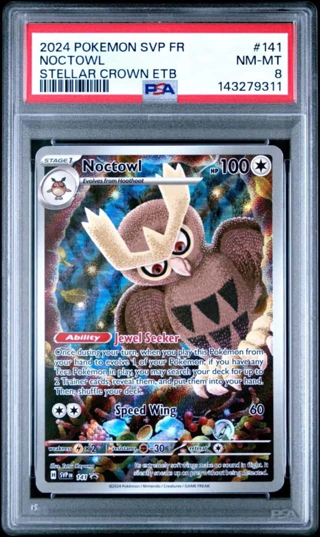 Noctowl