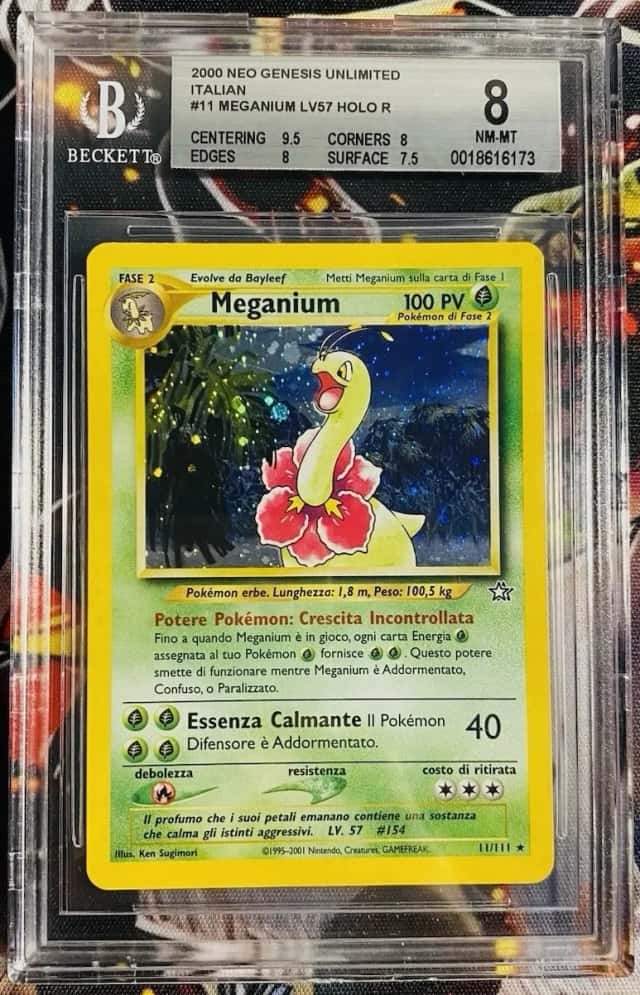 Meganium HOLO R