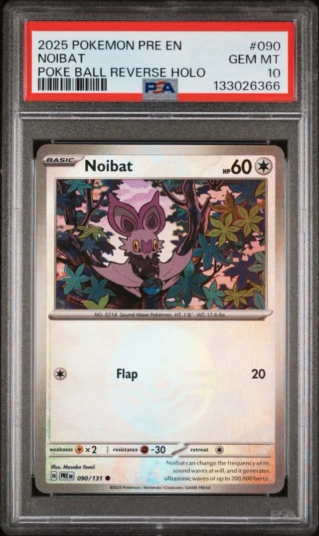 Noibat