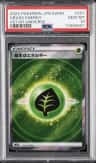 Grass Energy