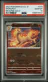 Rapidash