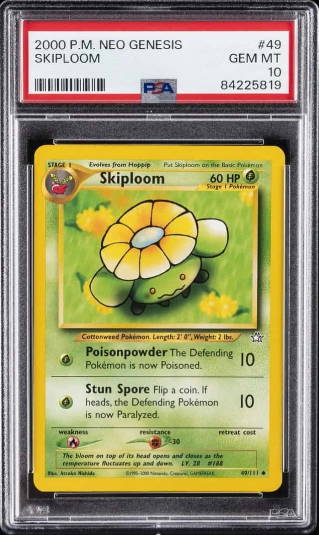 Skiploom