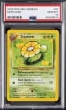Skiploom