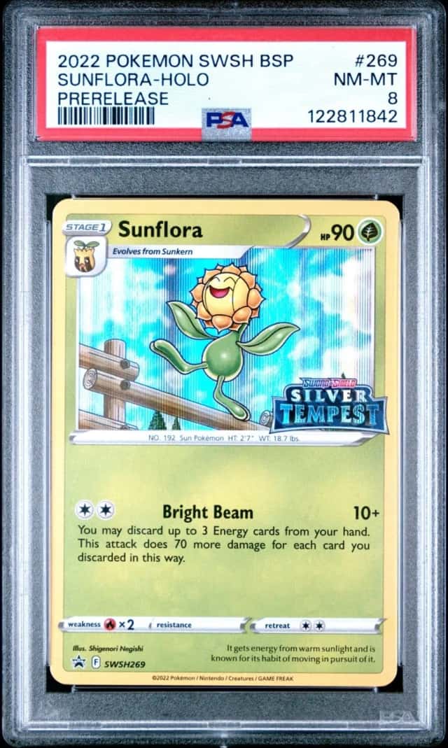 Sunflora