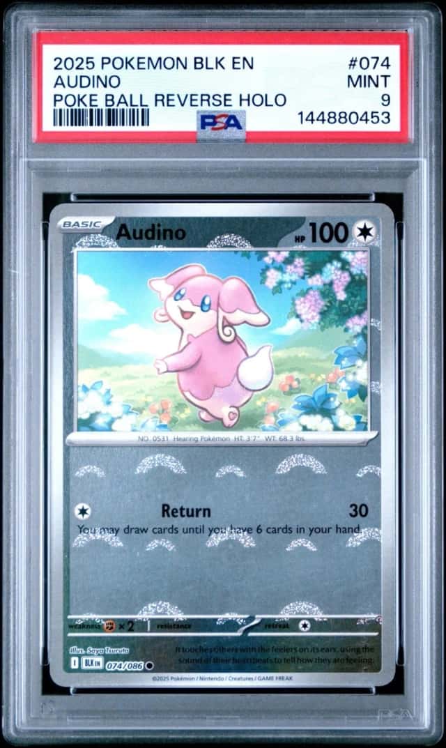 Audino