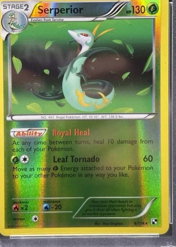 Reverse Holo