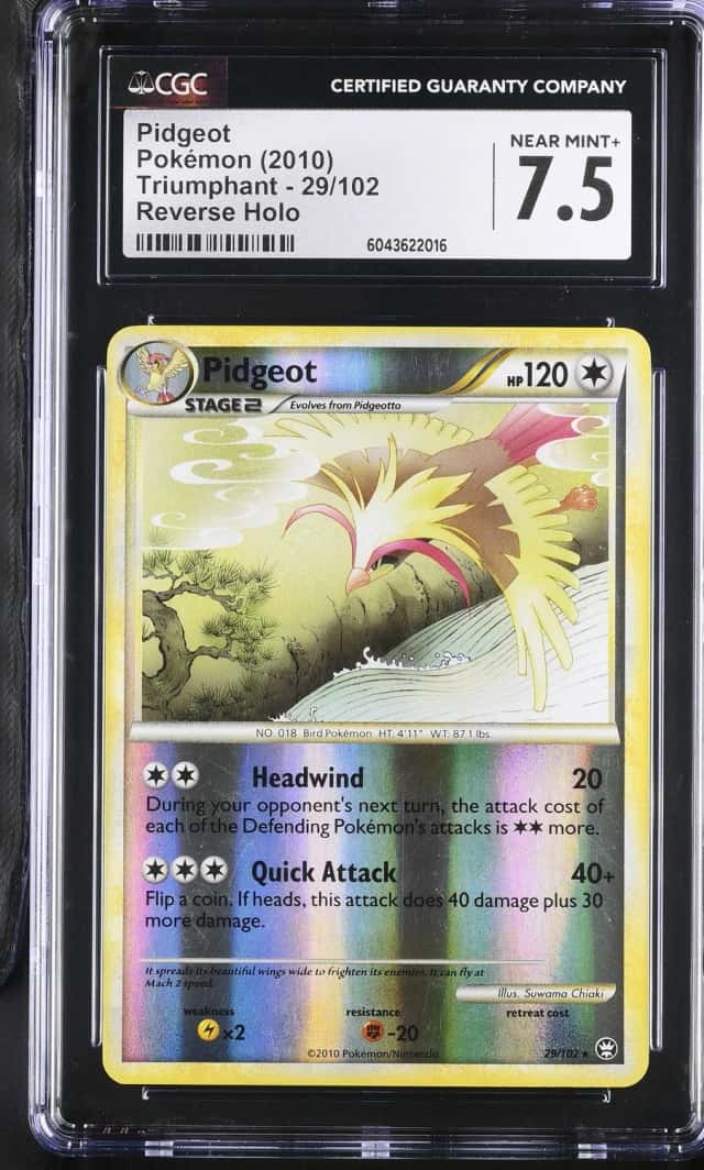 Pidgeot