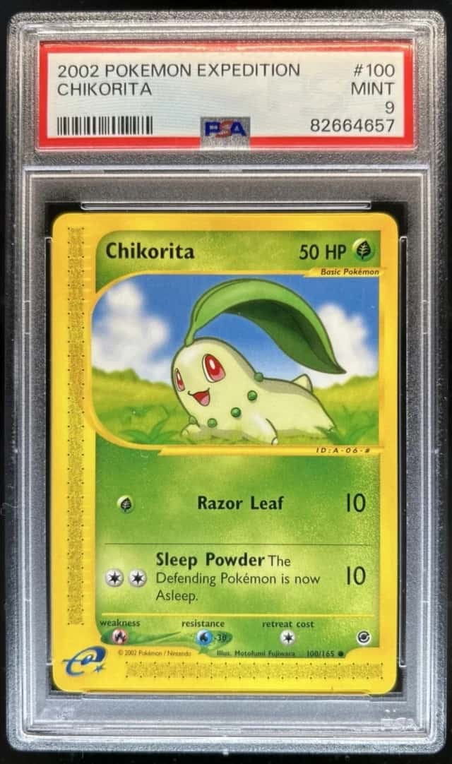 Chikorita