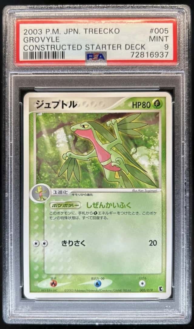 Grovyle