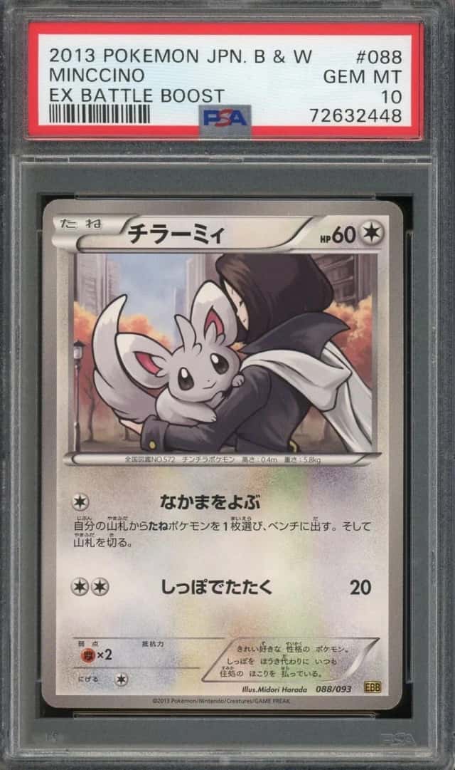 Minccino