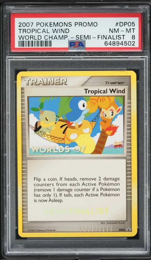 Tropical Wind