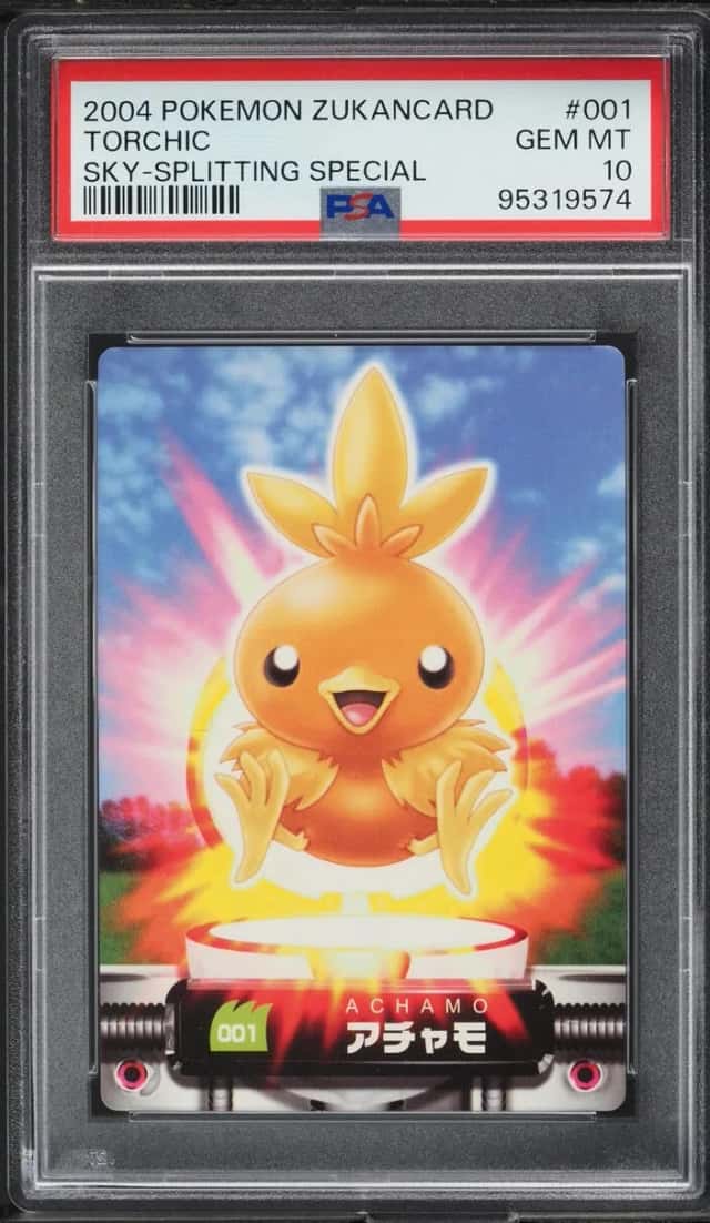Torchic