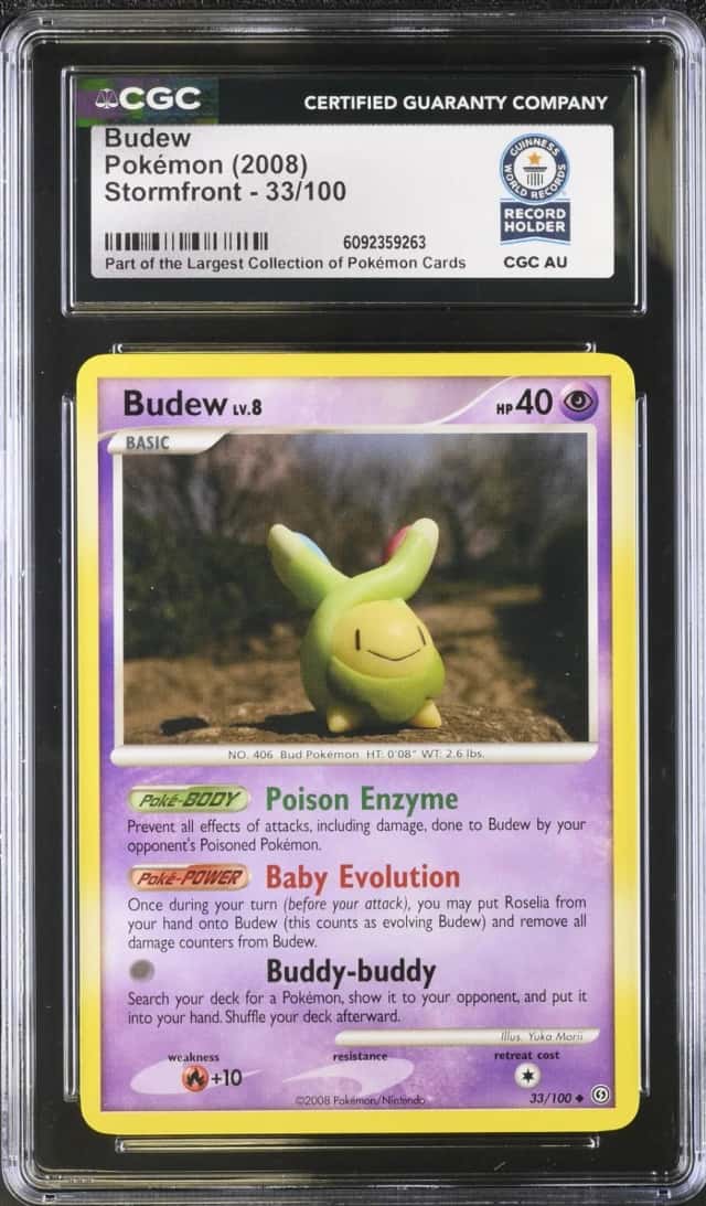 Budew