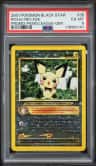 Pichu-Rev Revavroom.foil