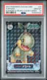 Turtwig