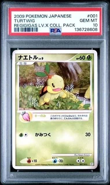 Turtwig