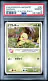 Turtwig