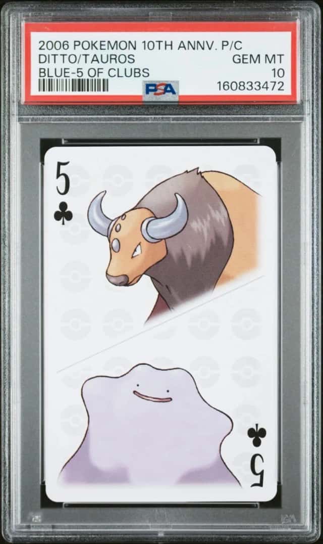 Ditto/Tauros