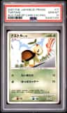 Turtwig