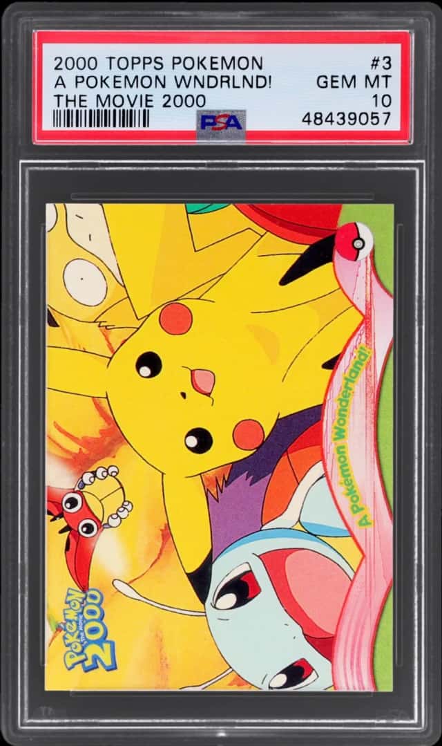 A POKEMON WNDRLND!