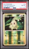 Chikorita