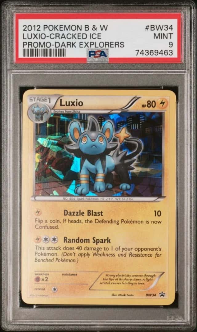 Luxio-Cracked Ice
