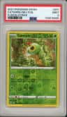Caterpie