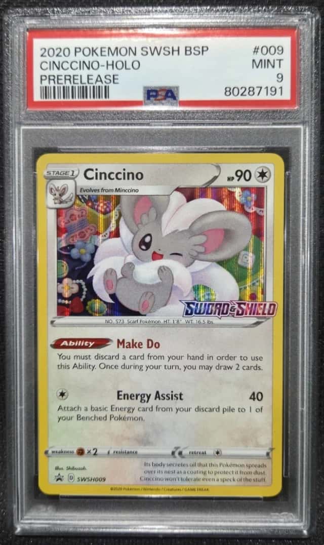 Cinccino