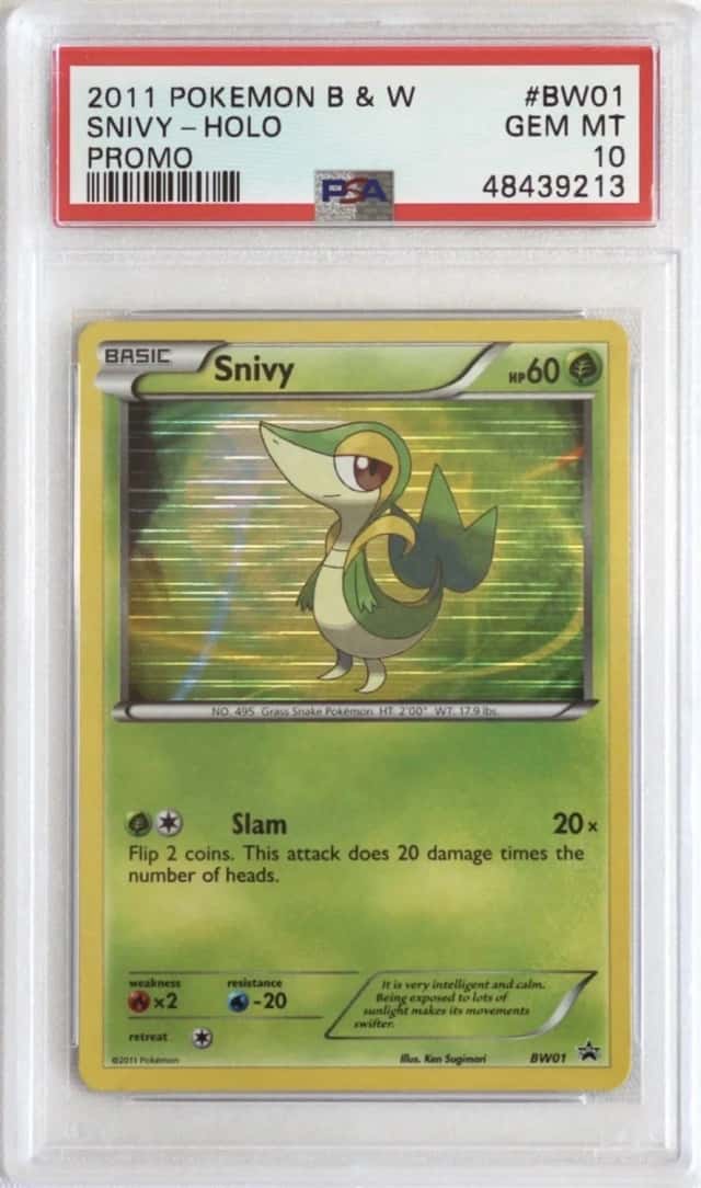 Snivy