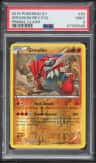 Groudon
