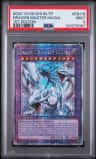 Dragon Master Magia