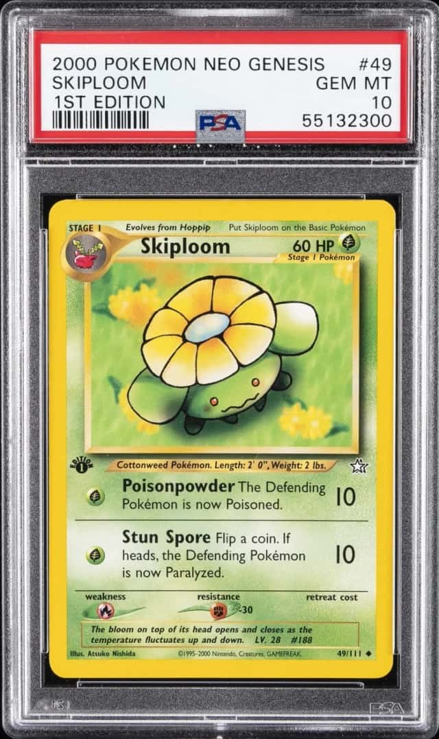 Skiploom