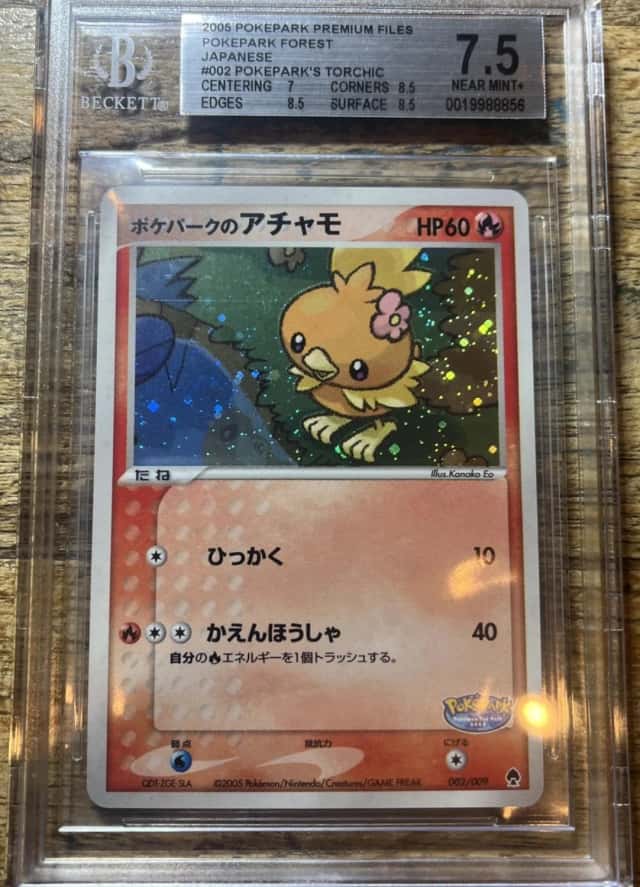 PokéPark's Torchic