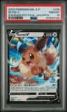 Eevee V