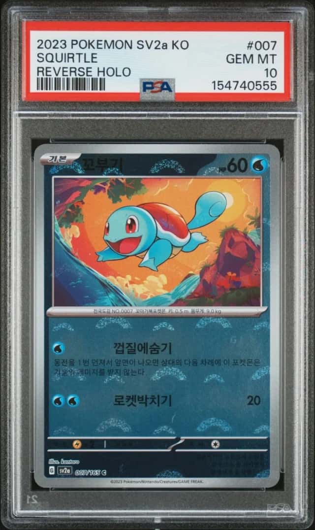 Squirtle