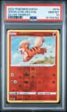 Growlithe
