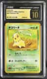 Chikorita