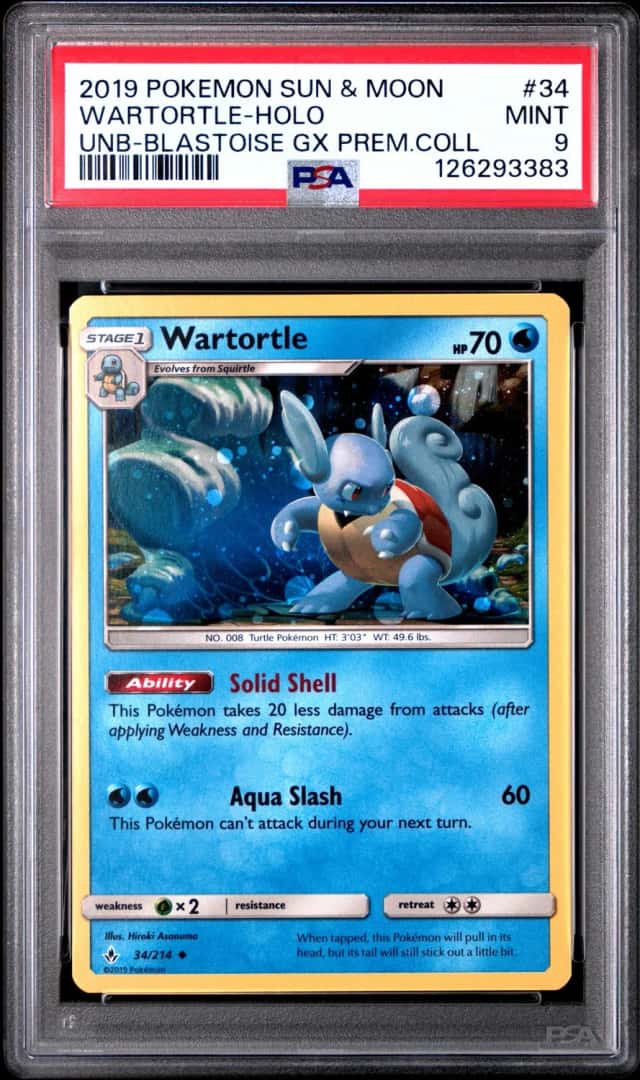 Wartortle