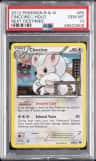 Cinccino