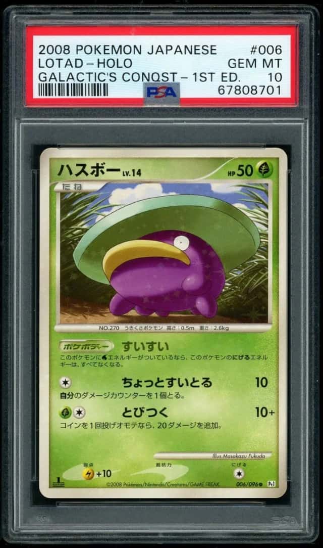 Lotad
