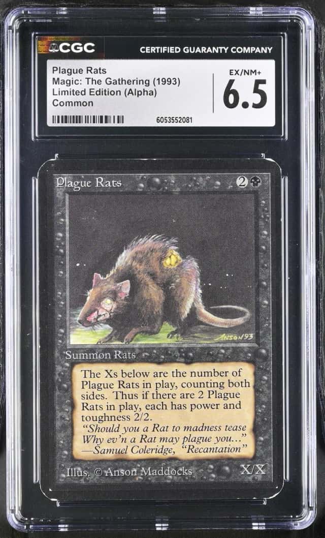 Plague Rats