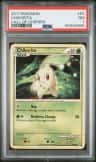 Chikorita