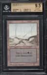 Swamp (brown Tint)