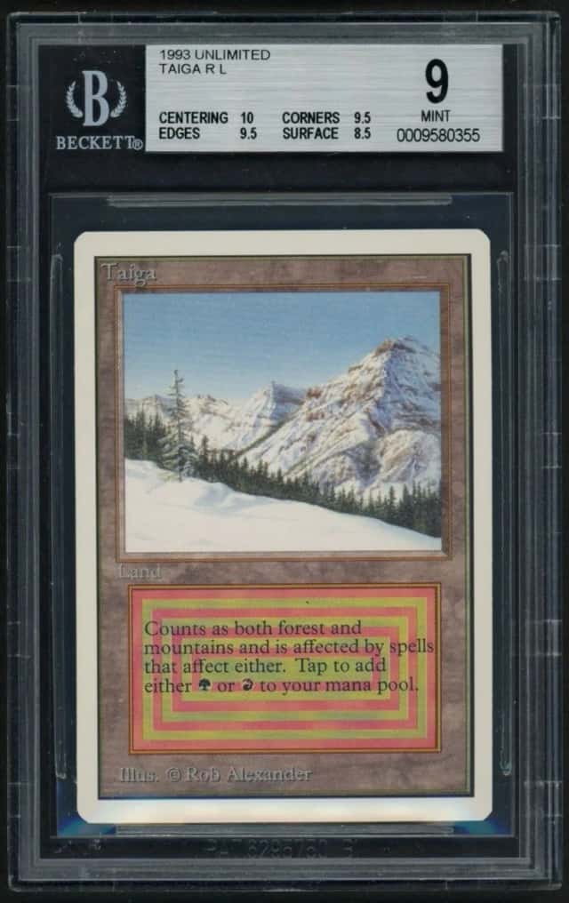Taiga R :L: