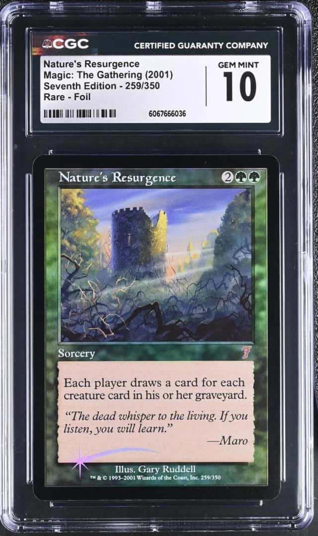 Nature's Resurgence