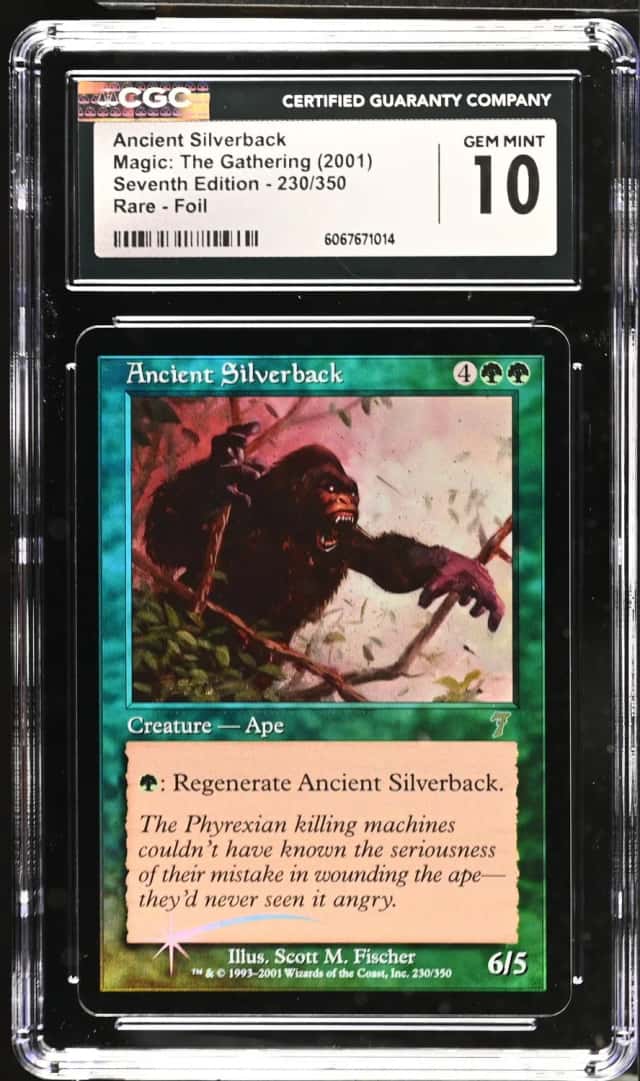 Ancient Silverback