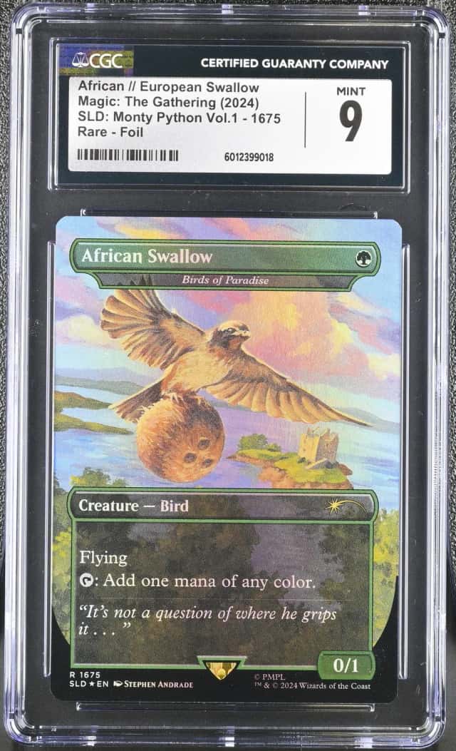 African // European Swallow