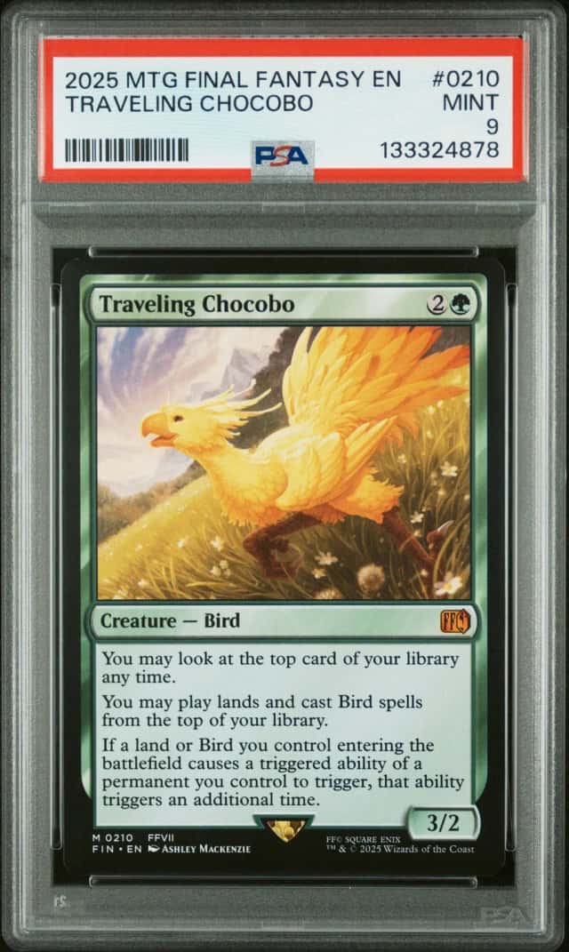 Traveling Chocobo