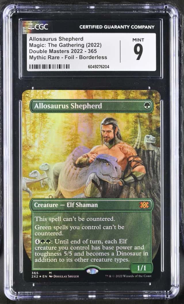 Allosaurus Shepherd