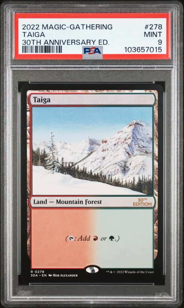 Taiga
